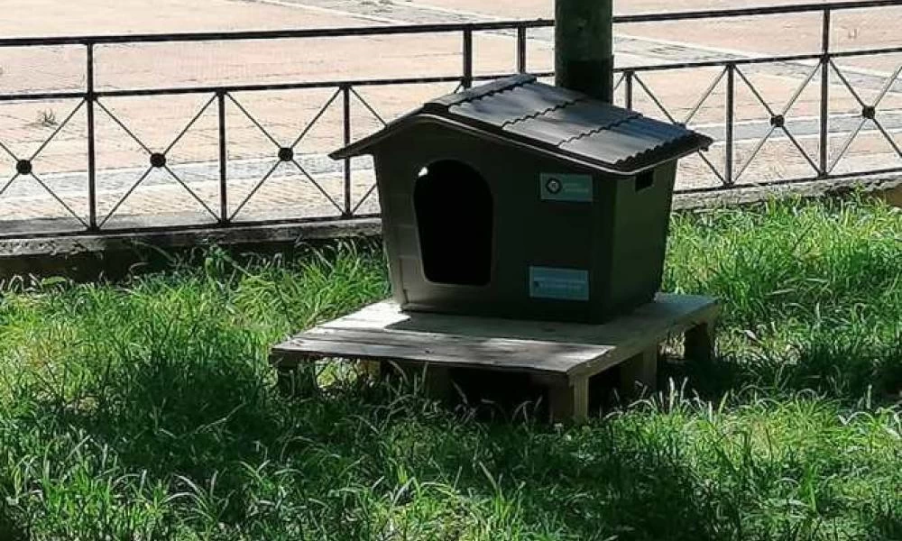 Δήμος Αθηναίων: Νέο πρόγραμμα για τα αδέσποτα